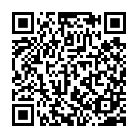 QR code for V29603