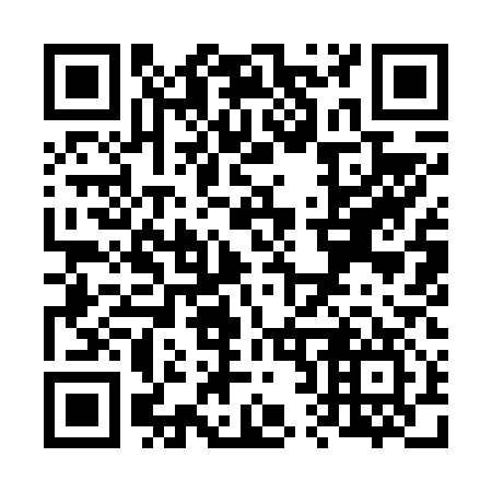 QR code for V29617