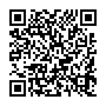 QR code for V29699