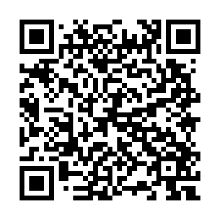 QR code for V29746