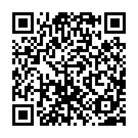 QR code for V30295