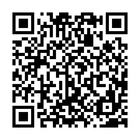QR code for V30316
