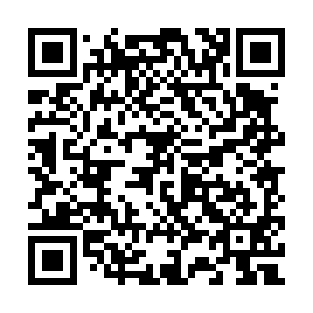 QR code for V30491