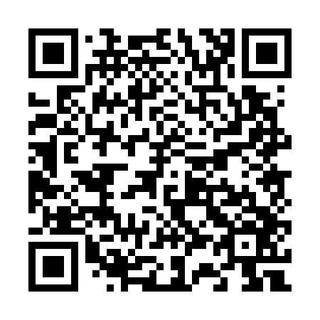 QR code for V30746