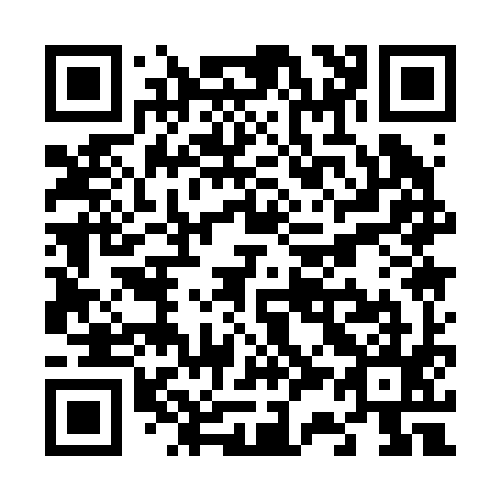 QR code for V31295