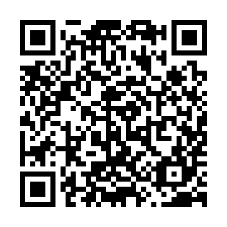 QR code for V31384