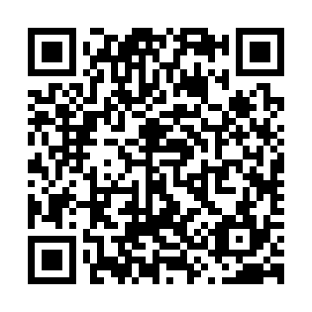 QR code for V32334