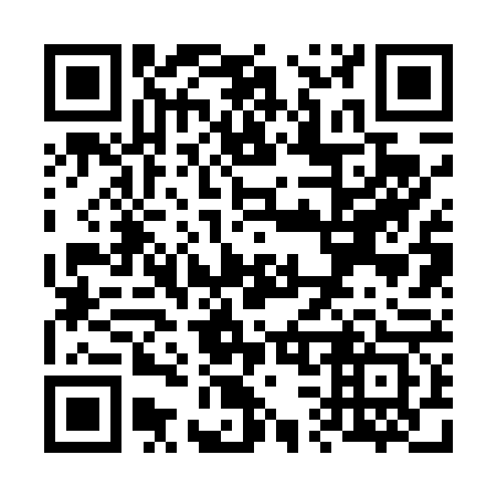 QR code for V32463