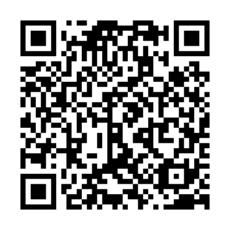 QR code for V33271