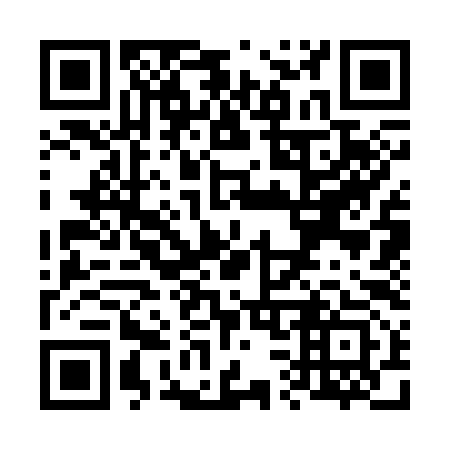QR code for V33393