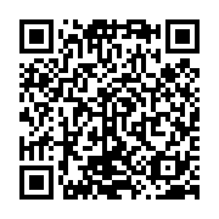 QR code for V33431