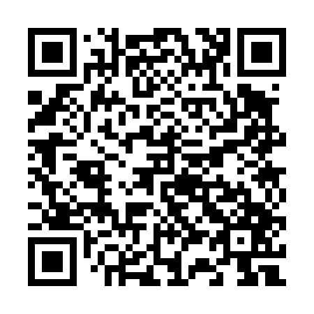 QR code for V33447