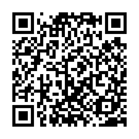 QR code for V33641