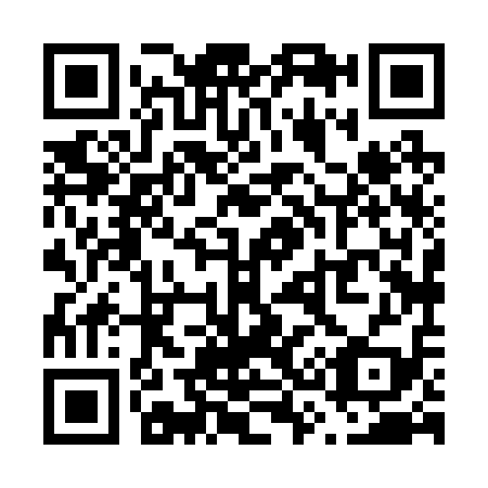 QR code for V38219