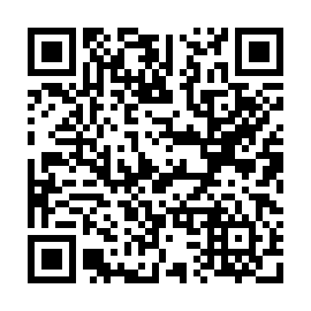 QR code for V38384