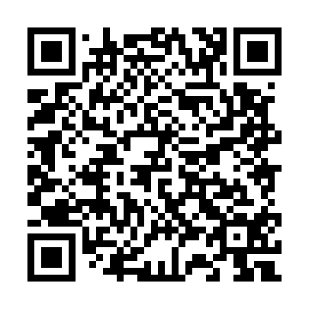 QR code for V38514