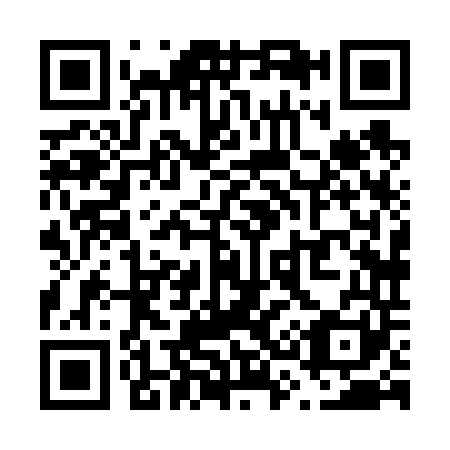 QR code for V38641