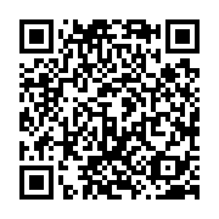 QR code for V38739