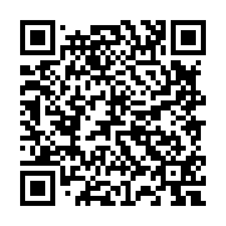 QR code for V38811
