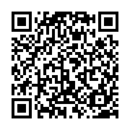 QR code for V39314