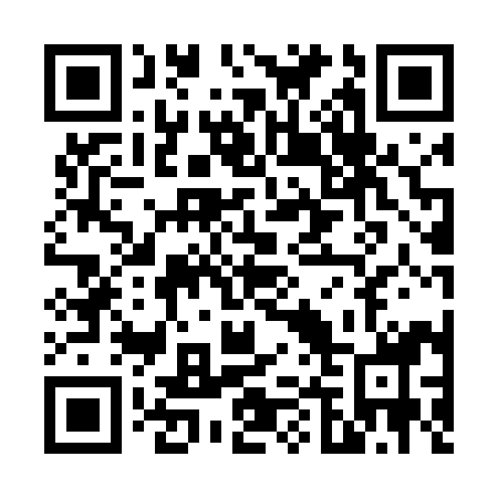 QR code for V41498