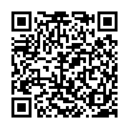 QR code for V41733