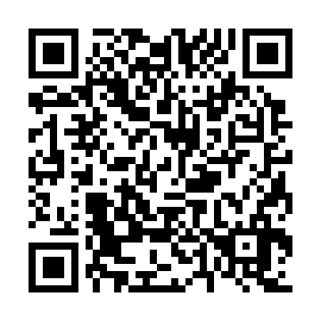 QR code for V43336