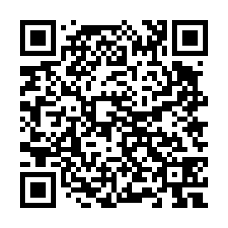 QR code for V45438