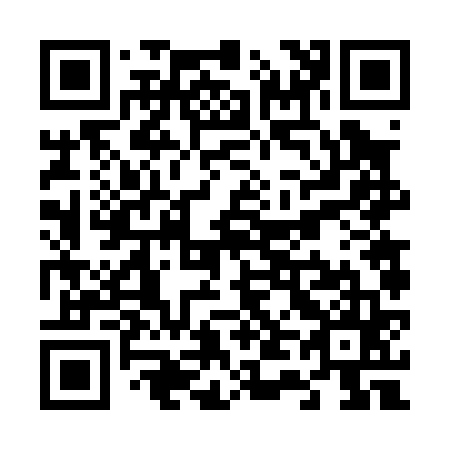 QR code for V46065