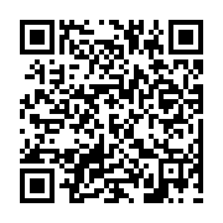 QR code for V46247