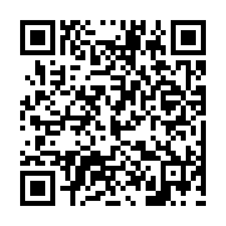 QR code for V46390