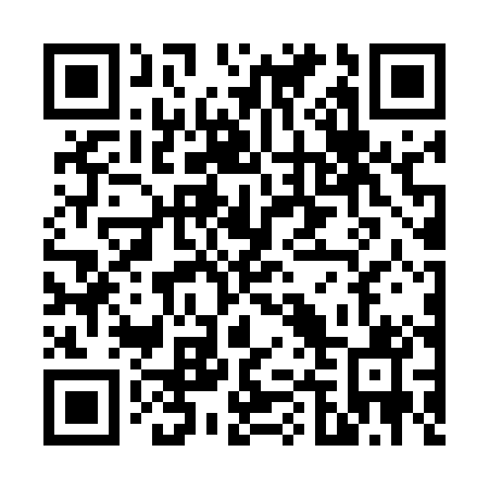 QR code for V46501
