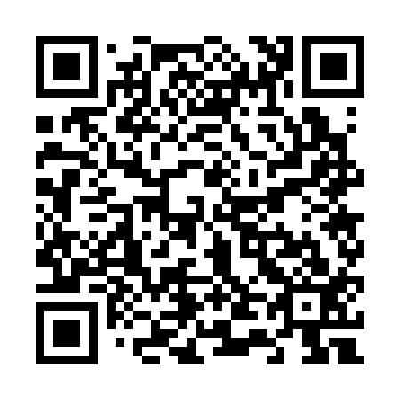 QR code for V47313