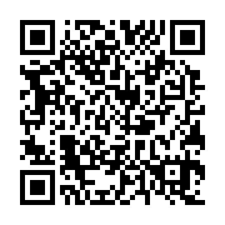 QR code for V47335
