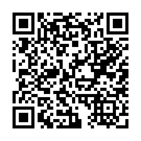 QR code for V47383