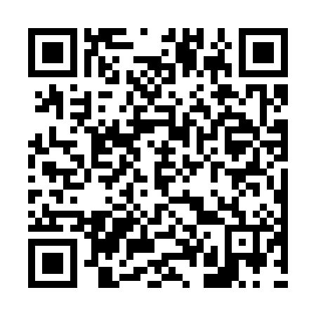 QR code for V47386