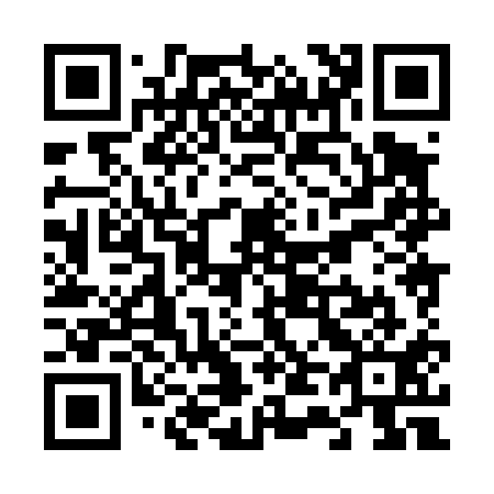 QR code for V48411