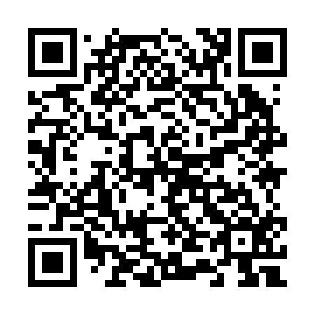 QR code for V49216