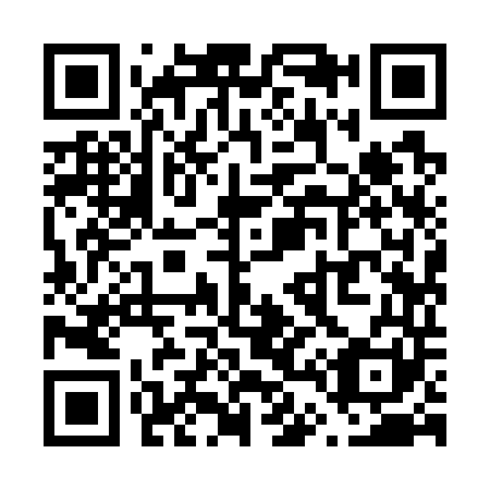 QR code for V49741