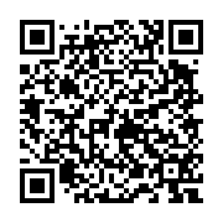QR code for V50454