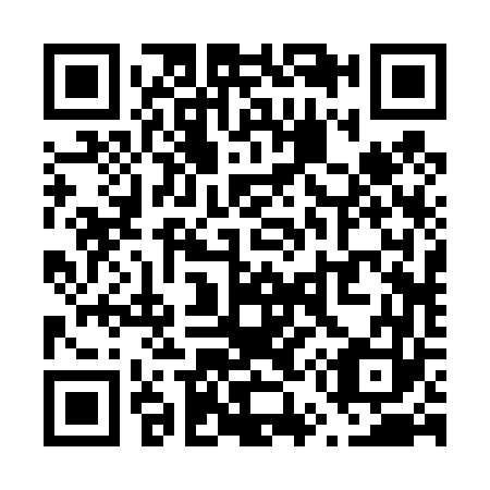 QR code for V52463