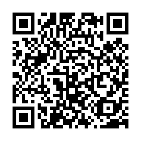 QR code for V53438