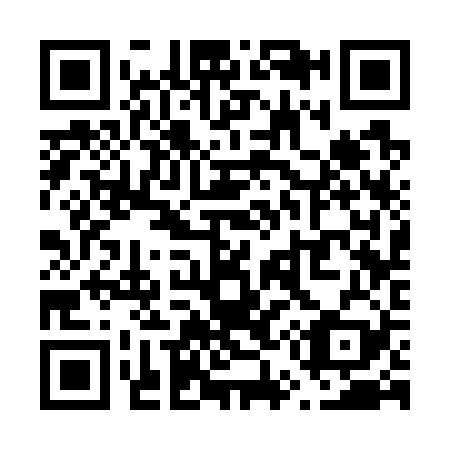 QR code for V53729