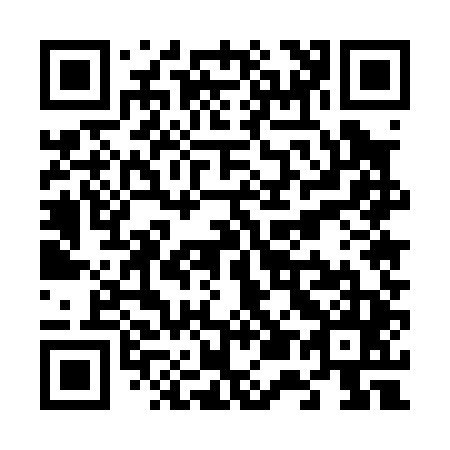 QR code for V55045