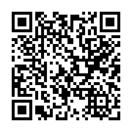 QR code for V58384
