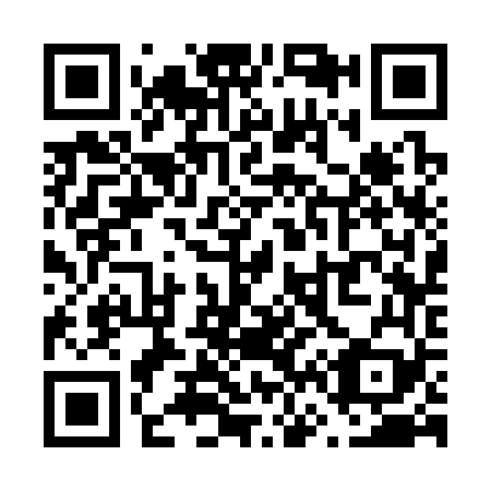 QR code for V63369