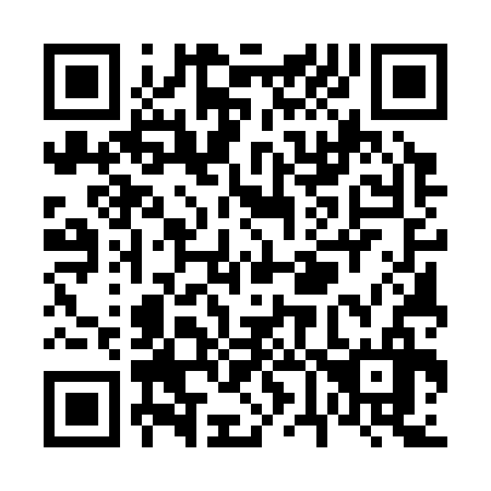 QR code for V65336