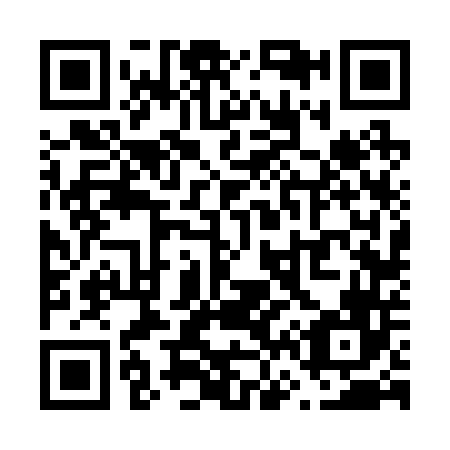 QR code for V66246