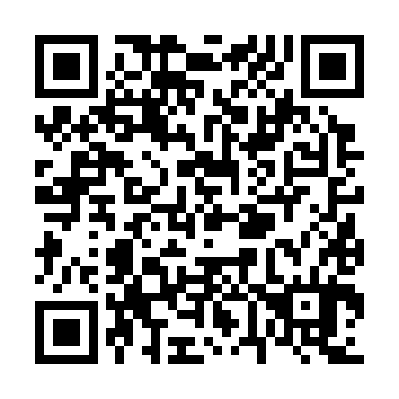 QR code for V66384