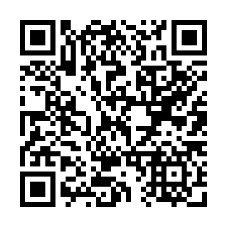 QR code for V66387